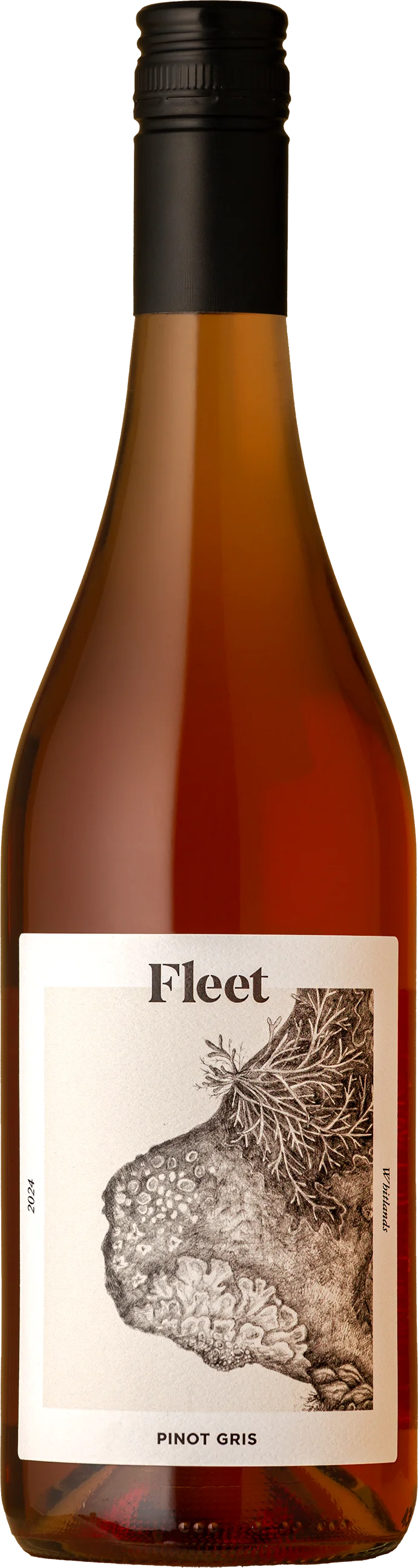 Image of Fleet - Lichen Pinot Gris 2024