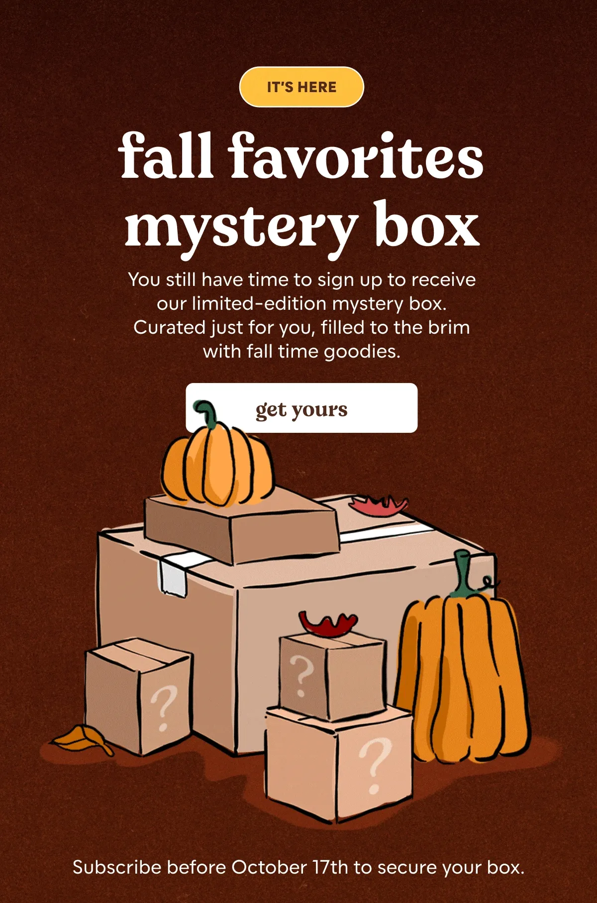 fall mystery box is here. subscribe now.