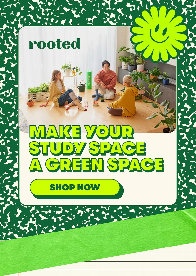 make your study space a green space