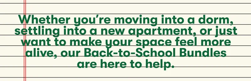 our back to school bundles are here to help