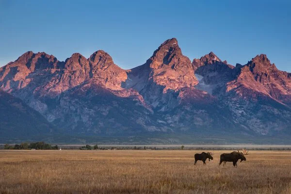 Jackson Hole, Wyoming