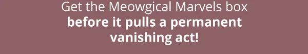 Get the Meowgical Marvels box before it pulls a permanent vanishing act!