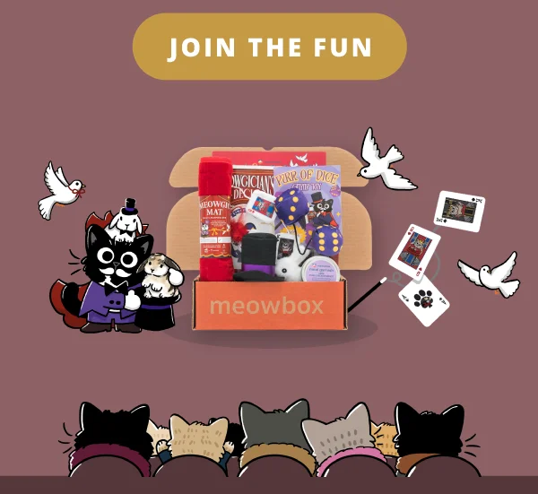 Join the fun! Meowgical Marvel meowbox (featuring toys like the Purr of Dice 2-pack, Meowgician's Deck Wand, Meowgic Mat and more)