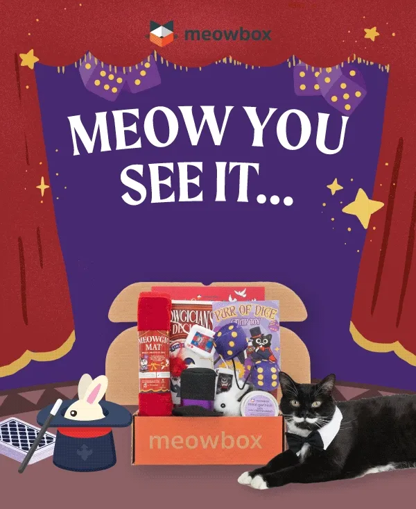 Meow you see it...soon you won't. Image of a black white spotted cat wearing a tuxedo next to the Meowgical Marvel meowbox (featuring toys like the Purr of Dice 2-pack, Meowgician's Deck Wand, Meowgic Mat and more)