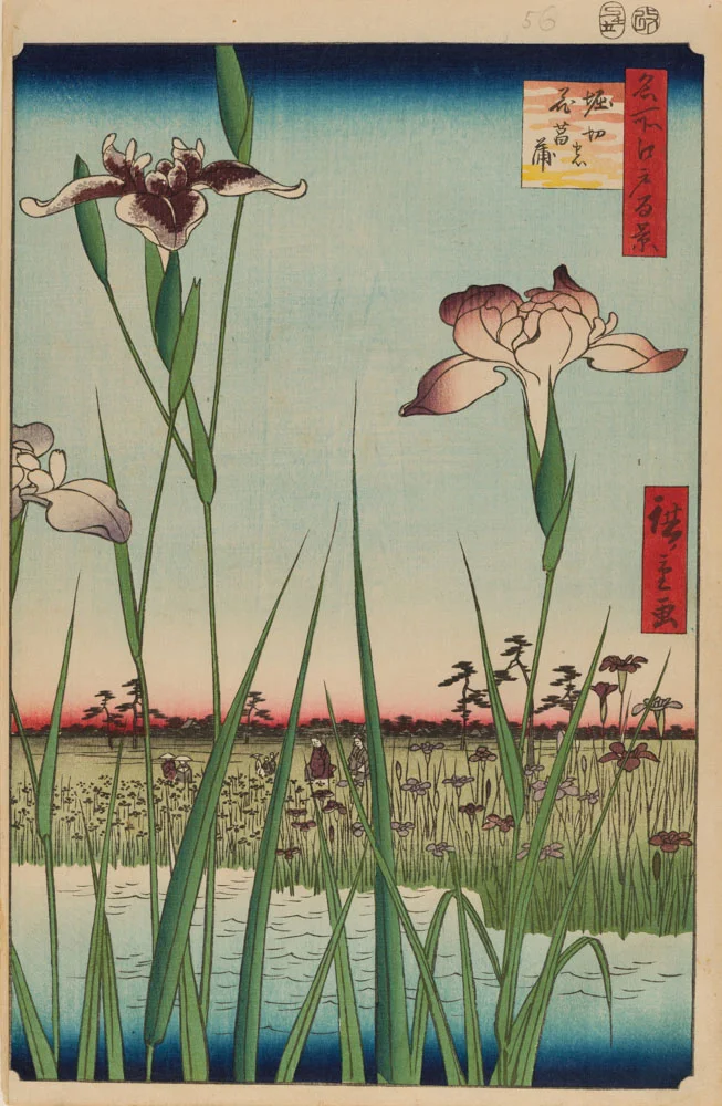 Hiroshige’s “Horikiri Iris Garden (Horikiri no Hanashobu), no. 64 from 100 Famous Views of Edo”