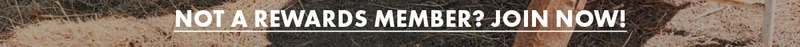 Not A Rewards Member? Join Now!
