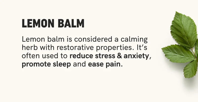 Lemon Balm