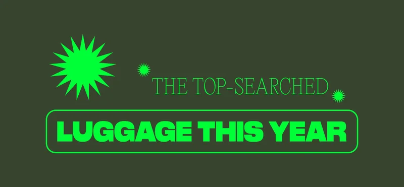 The top-searched luggage this year