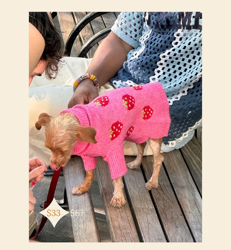 THE STRAWBERRY SWEATER