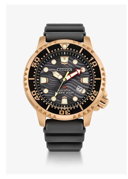 Promaster Dive