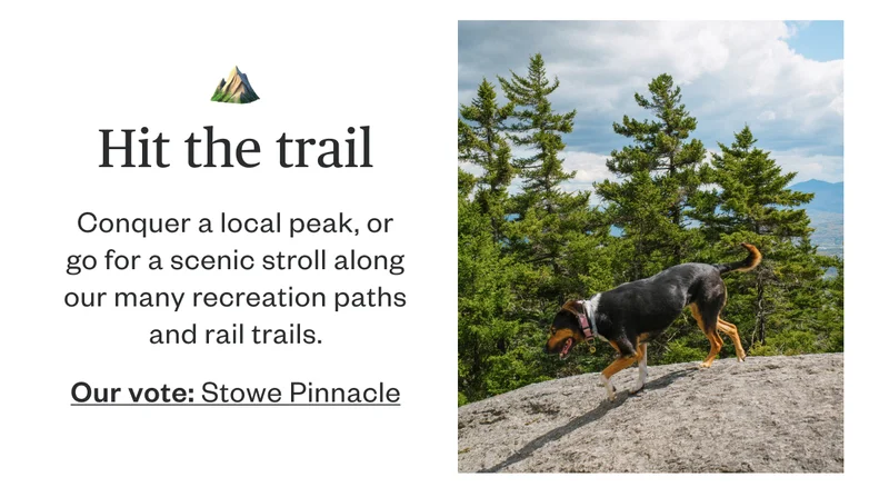 Hit the trail