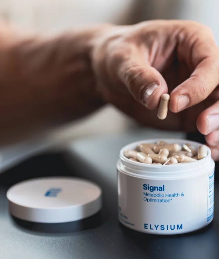 ELYSIUM