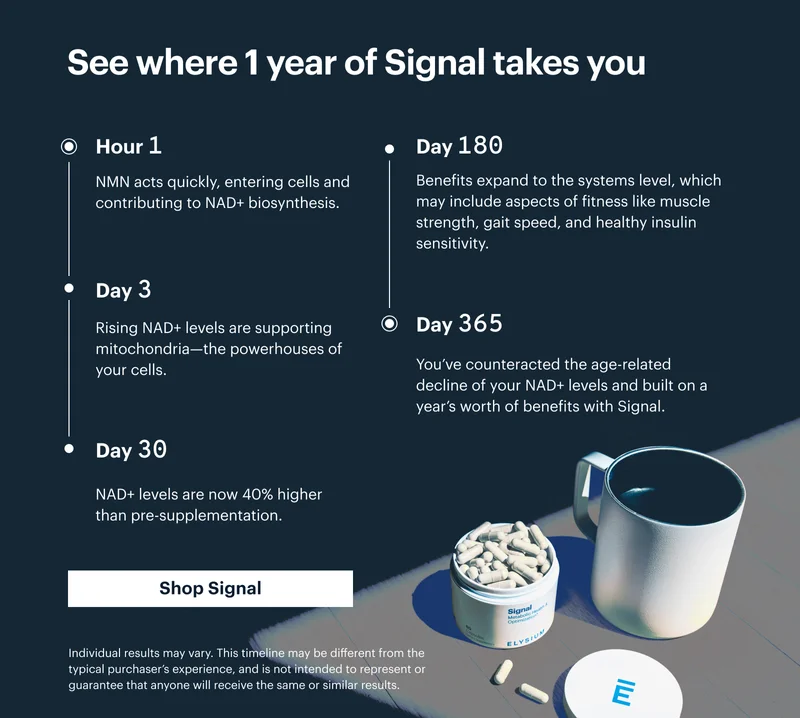 See where 1 year of Signal takes you