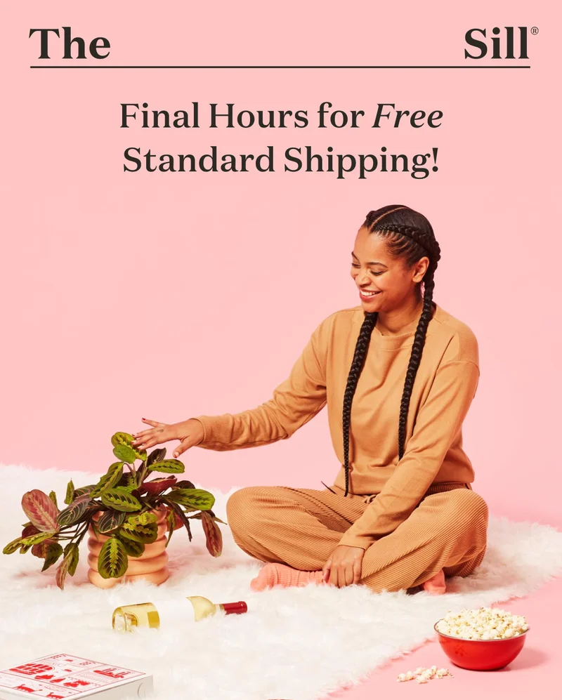 Final Hours for Free Standard Shipping!