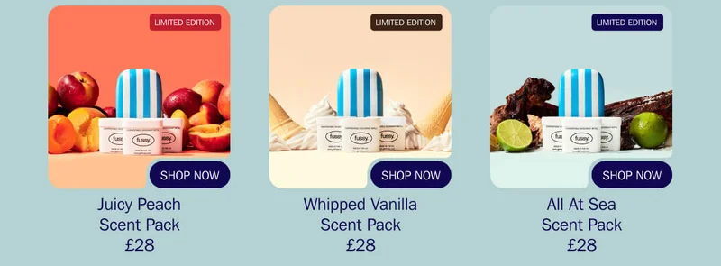 The British Seaside Collection