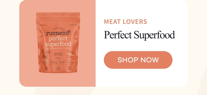 meat lovers | Perfect Superfood | shop now