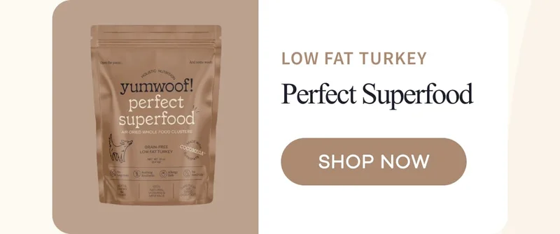 low fat turkey | Perfect Superfood | shop now
