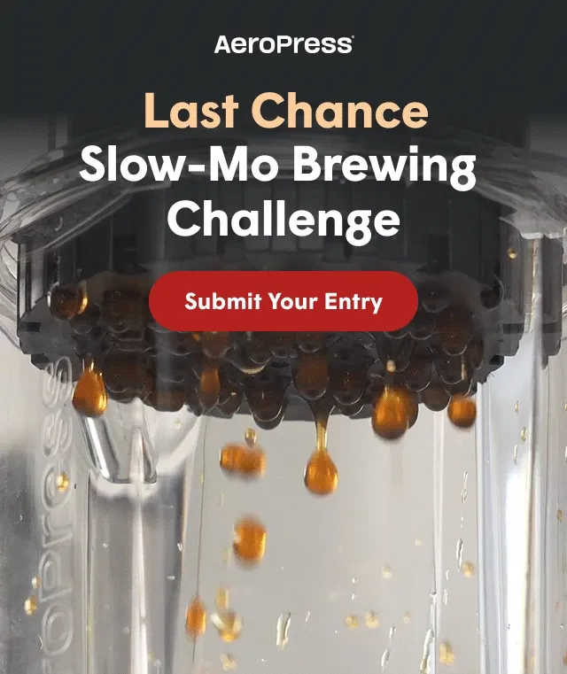 Last Chance Slow-Mo Brewing Challenge