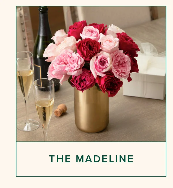 THE MADELINE