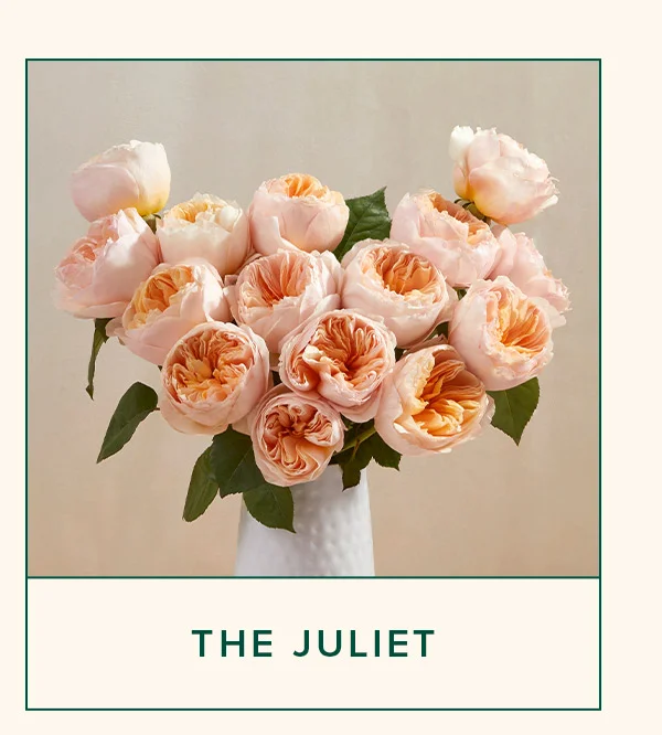 THE JULIET