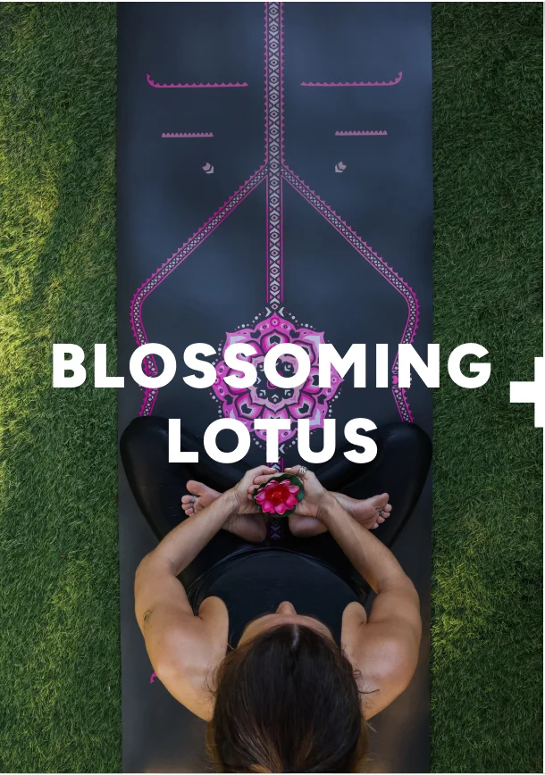 Blossoming Lotus