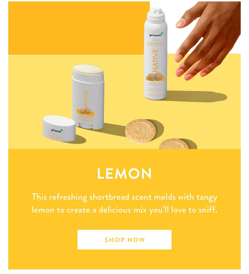 Lemon | This refreshing shortbread scent melds with tangy lemon to create a delicious mix you’ll love to sniff. | SHOP NOW