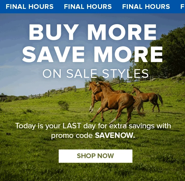 BUY MORE SAVE MORE ON SALE STYLES | PROMO CODE: SAVENOW