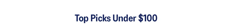 Top Picks Under $100.