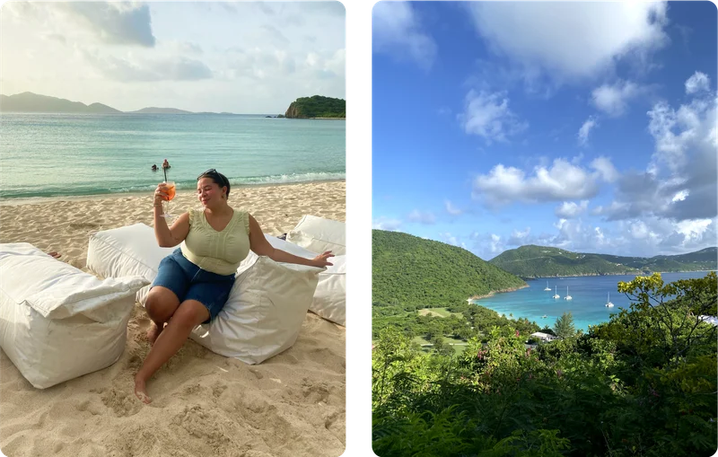 Chamidae in the British Virgin Islands