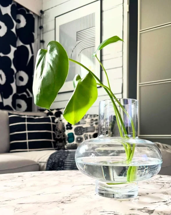 Umpu Vase