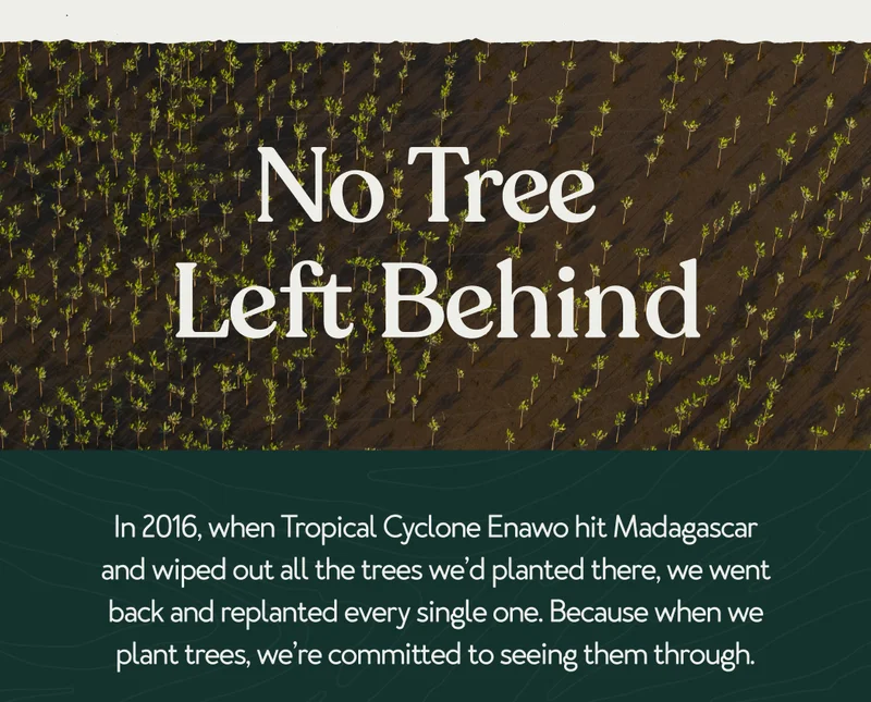No Trees Left Behind