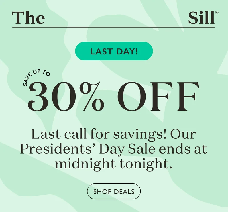 Last Day! Our Presidents' Day Sale ends at midnight tonight!