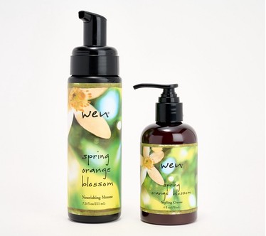 WEN by Chaz Dean Spring Styling Duo
