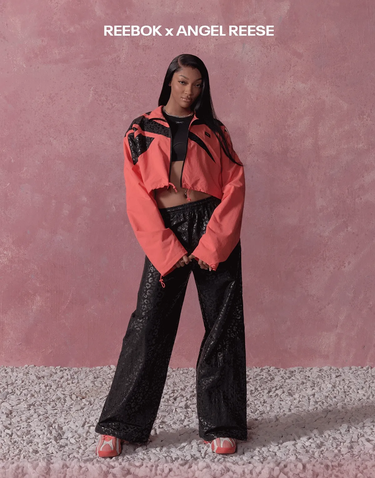 Shop the Collection