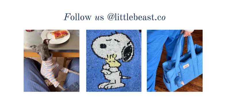 Follow us on Instagram