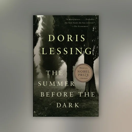 The Summer Before the Dark