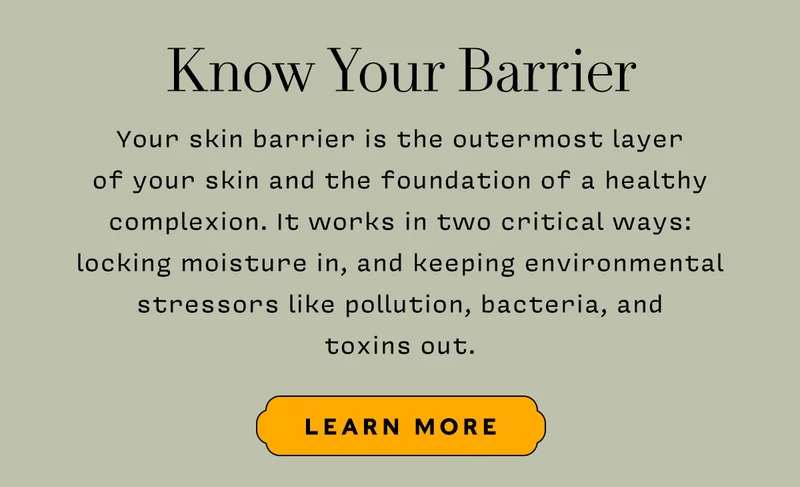 Your skin barrier is the outermost layer  of your skin and the foundation of a healthy complexion. It works in two critical ways:  locking moisture in, and keeping environmental stressors like pollution, bacteria, and  toxins out.   LEARN MORE