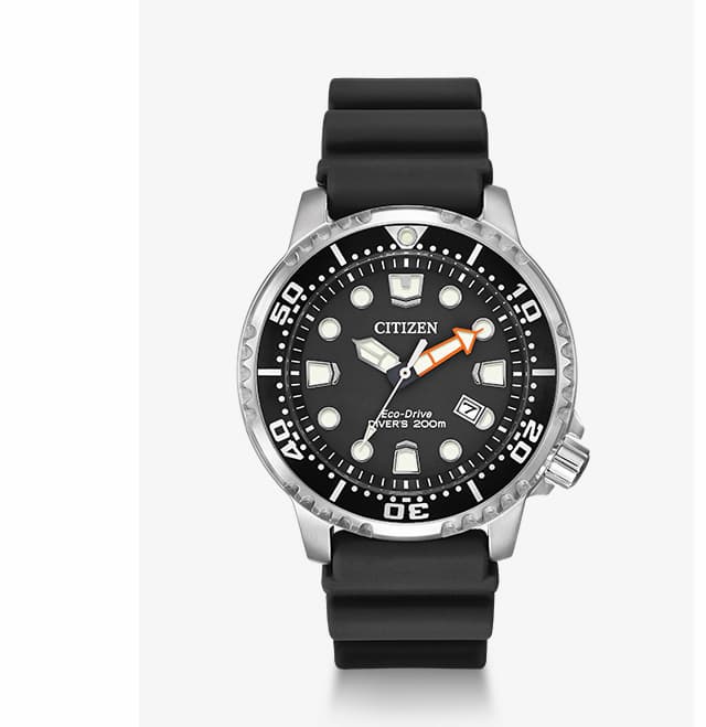 Promaster Dive
