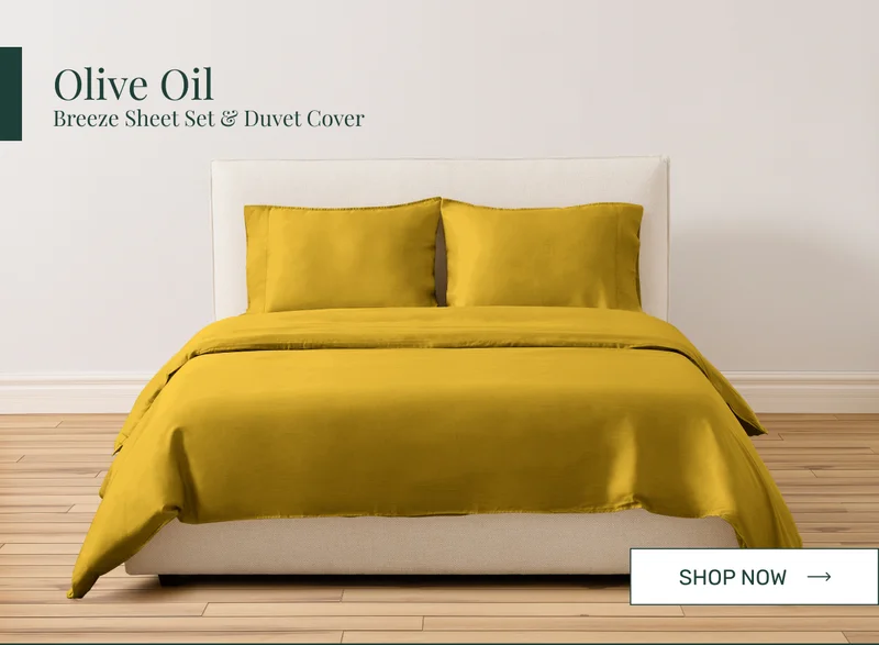 Olive Oil