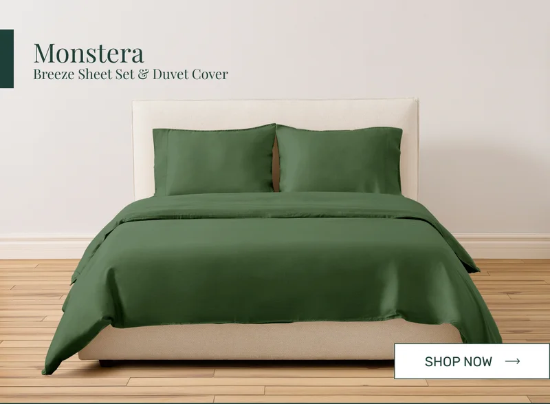 Monstera