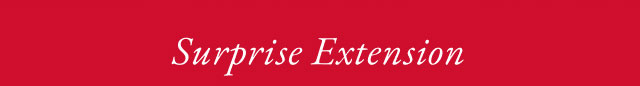 Surprise Extension