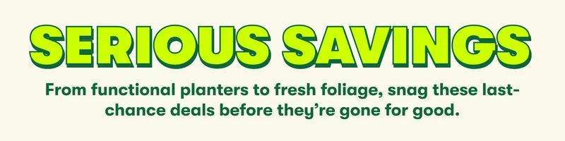 SERIOUS SAVINGS  From functional planters to fresh foliage, snag these last-chance deals before they’re gone for good.