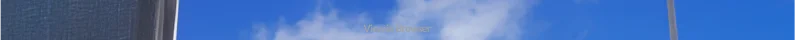 View In Browser