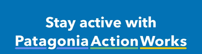 Patagonia Action Works