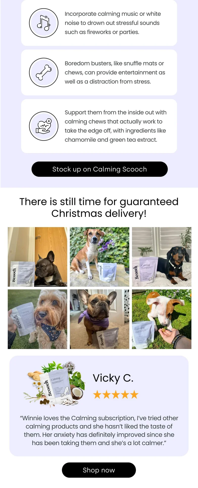 There is still time for guaranteed Christmas delivery! - Stock up on Calming Scooch