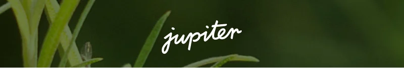 Jupiter