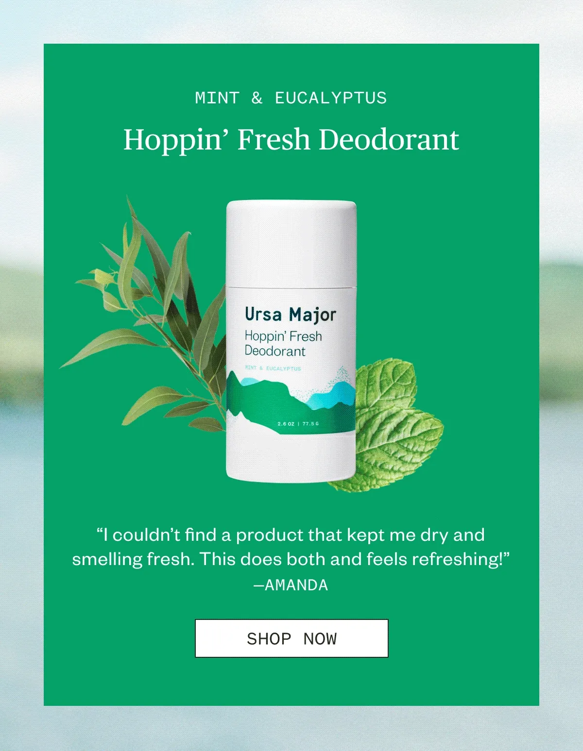 Shop Now