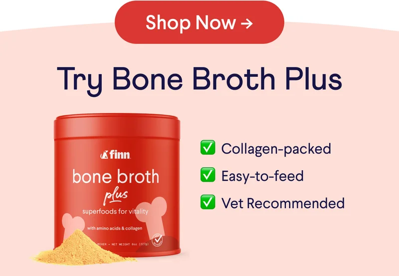 Try Bone Broth Plus! ✅ Collagen-packed ✅ Easy-to-feed ✅ Vet Recommended