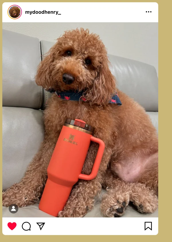 We're thankful for you