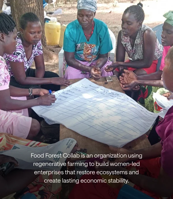Food Forest Collab is an organization using regenerative farming to build women-led enterprises that restore ecosystems and create lasting economic stability.